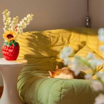 Preview: DOIY Himbeer Vase L aus der Farmers Market Kollektion